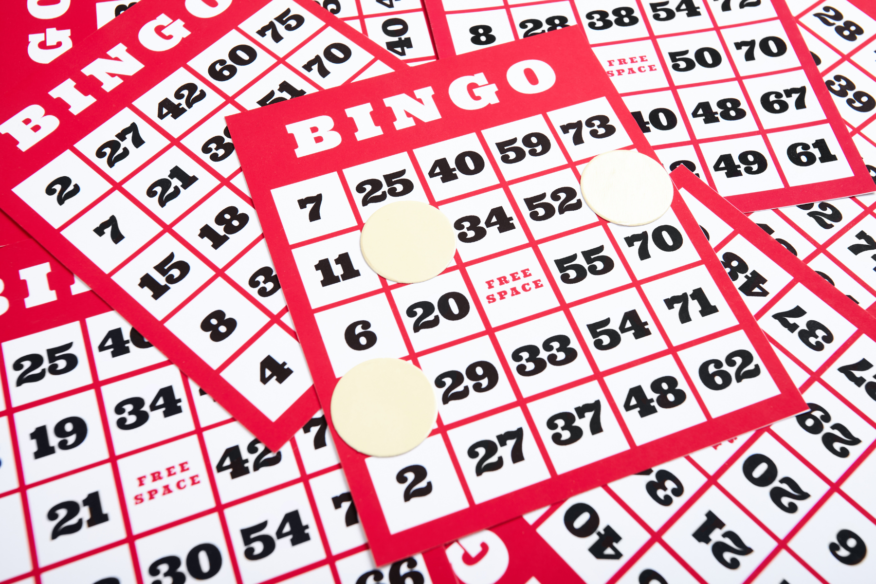 2024 Senior Bingo and Physical Activity Program (3rd & 4th Quarter)