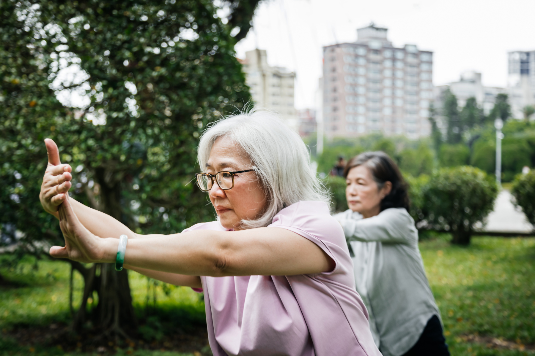 2024 Intermediate Tai Chi for Arthritis & Fall Prevention